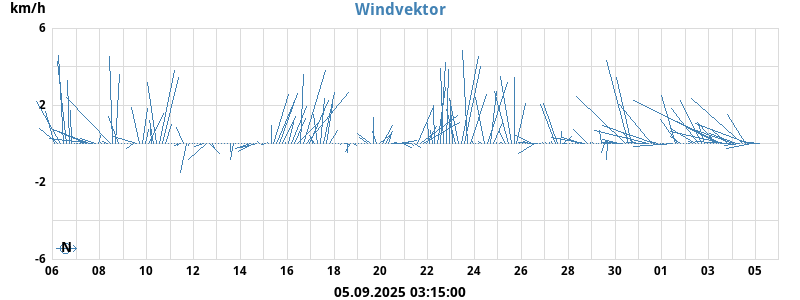 Wind Vector